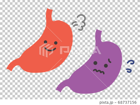 健康な胃と不健康な胃のイラストのイラスト素材