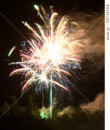 滋賀農業公園ブルーメの丘の花火大会2020/8/13 68738268