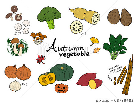 秋の野菜セットカラーのイラスト素材