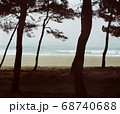 江陵 ビーチ 海 68740688