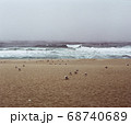 江陵 ビーチ 海 68740689