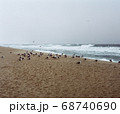 江陵 ビーチ 海 68740690