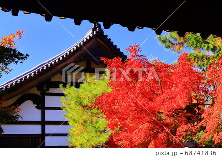 金地院（こんちいん）南禅寺塔頭（京都市左京区）の紅葉 68741836