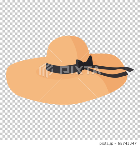 Women wide brim hat. Nice headwear isolated on white background. 68743347