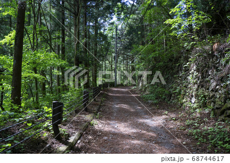 奥多摩むかし道 山道 奥多摩むかし道 山道 68744617