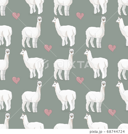 Vector Seamless Pattern With Llama Or Alpaca のイラスト素材