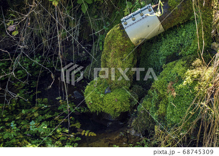Pipe for water supply covered with moss and with new connection Selective focus  68745309