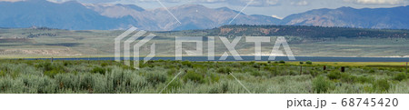 Green wild land with sagebrush plant and mountain in the background next the Lake Crowley Green wild land with sagebrush plant and mountain in the background next the Lake Crowley 68745420