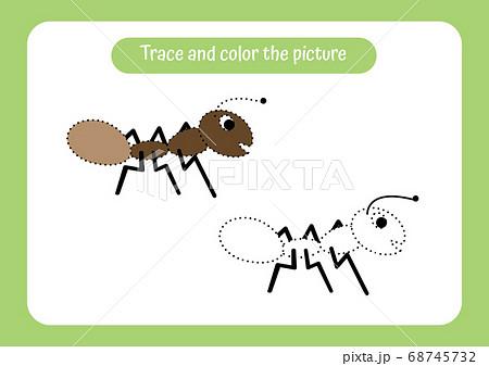 Little ant. Trace and color the picture. Little ant. Trace and color the picture. 68745732
