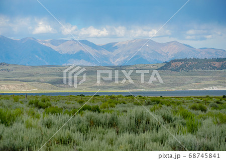 Green wild land with sagebrush plant and mountain in the background next the Lake Crowley 68745841