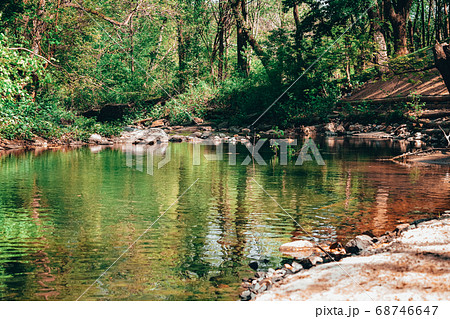 A Landscape Shot of a Small Creek A Landscape Shot of a Small Creek 68746647