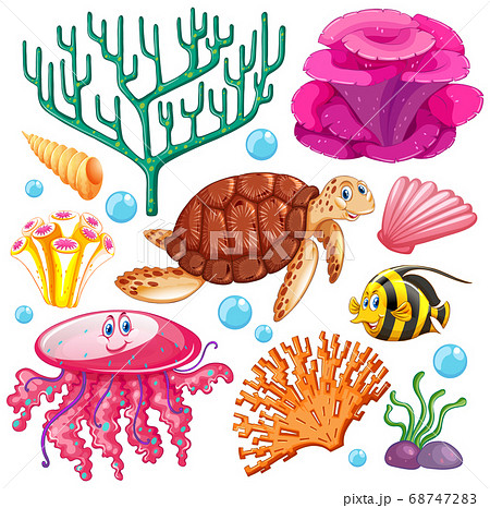 Set of sea creatures on white background Set of sea creatures on white background 68747283