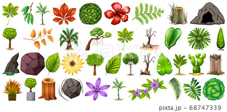 Set of different nature isolated on whiteのイラスト素材 [68747339] - PIXTA