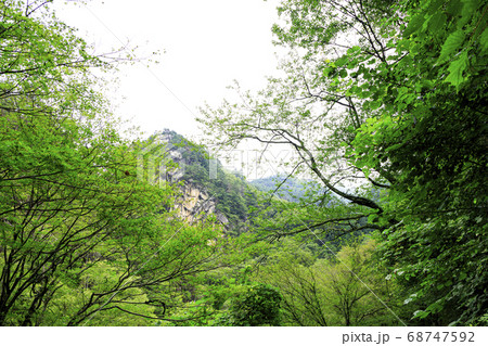 山梨県の名所奇岩怪石の昇仙峡の夏(曇) 山梨県の名所奇岩怪石の昇仙峡の夏(曇) 68747592