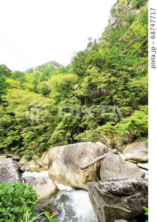 山梨県の名所奇岩怪石の昇仙峡の夏（曇） 68747717
