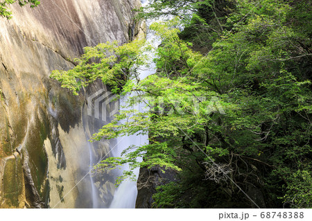 山梨県の名所奇岩怪石の昇仙峡の夏（曇） 68748388
