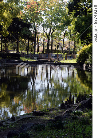 庄内緑地公園点景 庄内緑地公園点景 68749239