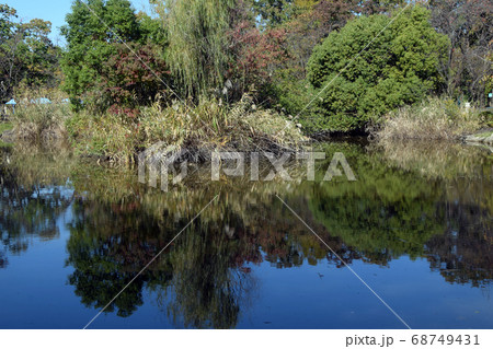 庄内緑地公園点景 庄内緑地公園点景 68749431