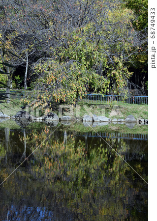 庄内緑地公園点景 庄内緑地公園点景 68749433