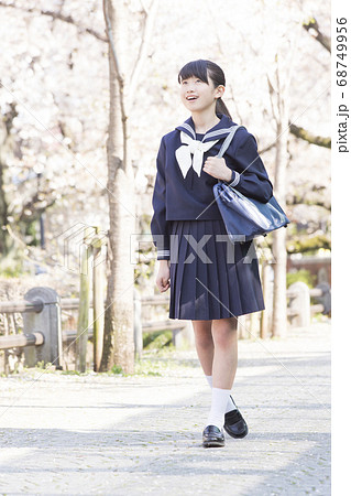 桜と女子中学生 68749956