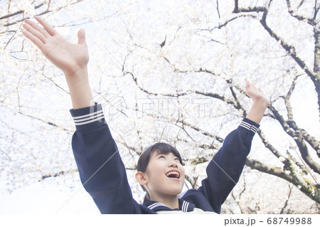 桜と女子中学生 68749988