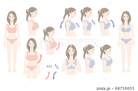 ブラジャー　バストアップ　女性 68750055