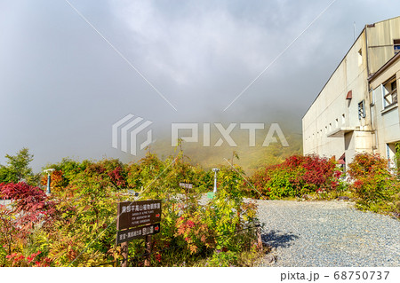 黒部 (10月　秋　晴れ) 68750737