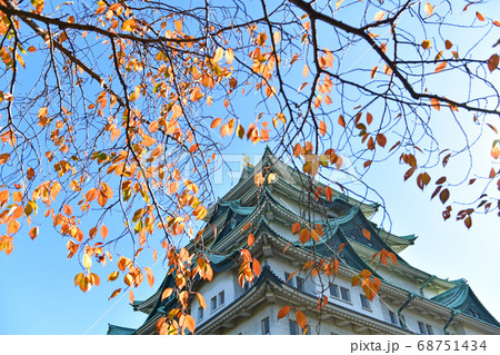 紅葉の名古屋城の写真素材