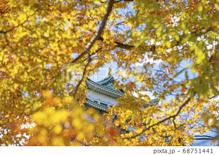 紅葉の名古屋城の写真素材