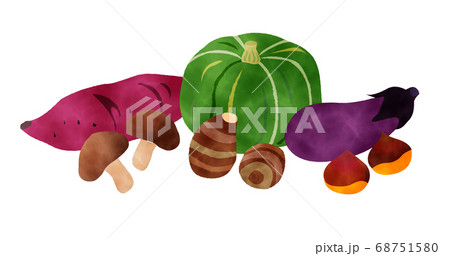 Vegetables watercolor vector　秋の野菜セット水彩 68751580