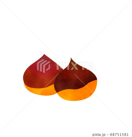 Chestnuts watercolor vector　秋の野菜　栗　水彩 68751581