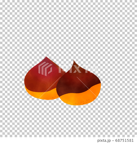 Chestnuts watercolor vector　秋の野菜　栗　水彩 68751581
