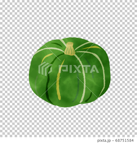 Pumpkin watercolor vector　秋の野菜”カボチャ”水彩 68751584