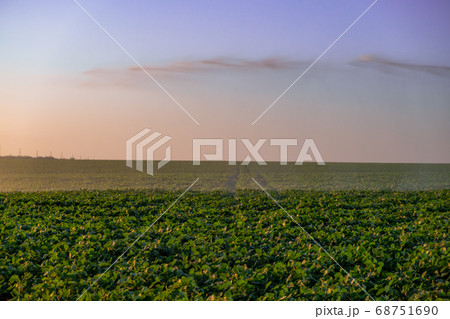 Center pivot crop irrigation or irrigating system for farm management 68751690