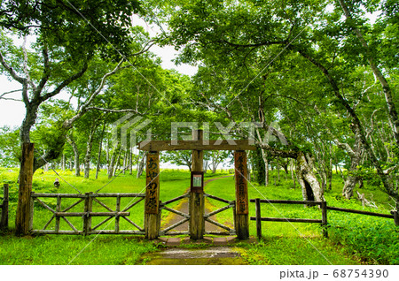 北海道厚岸町　原生花園あやめヶ原 68754390