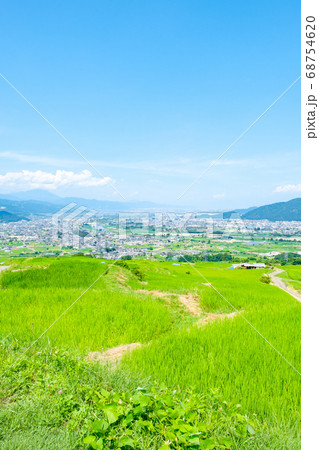 姨捨の棚田と善光寺平(夏) 姨捨の棚田と善光寺平(夏) 68754620