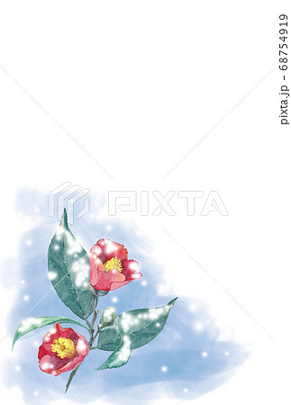雪と椿の水彩画 はがきサイズのイラスト素材