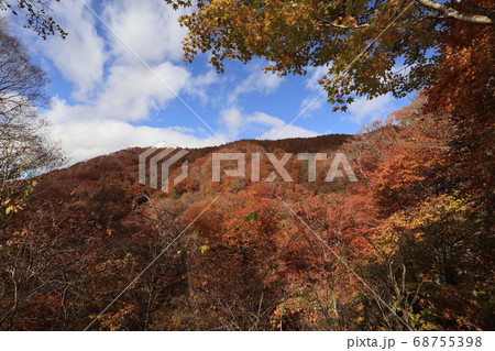 日塩もみじラインの紅葉の写真素材