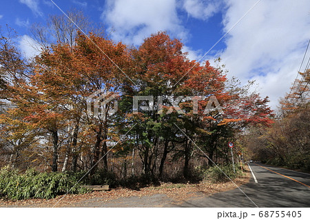 日塩もみじラインの紅葉 日塩もみじラインの紅葉 68755405
