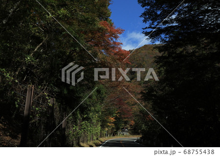 日塩もみじラインの紅葉 日塩もみじラインの紅葉 68755438