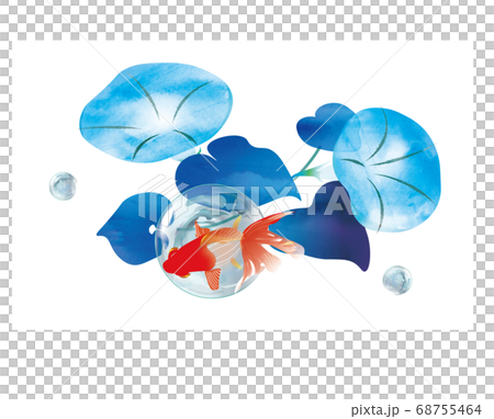 夏　涼しさ 68755464