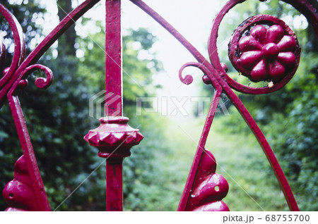 ストロベリーフィールズ 68755700