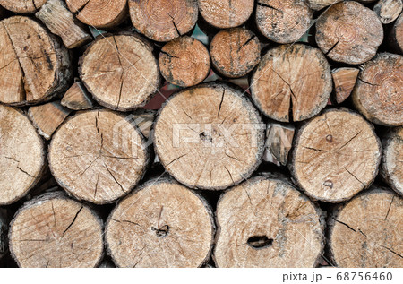 many wooden logs trunks close up 68756460