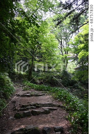 槇尾山 施福寺 参拝道 槇尾山 施福寺 参拝道 68757830