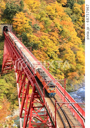 紅葉の黒部峡谷とトロッコ列車 68757967