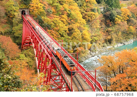 紅葉の黒部峡谷とトロッコ列車 68757968