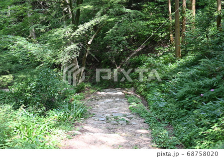 槇尾山 施福寺 参拝道 槇尾山 施福寺 参拝道 68758020