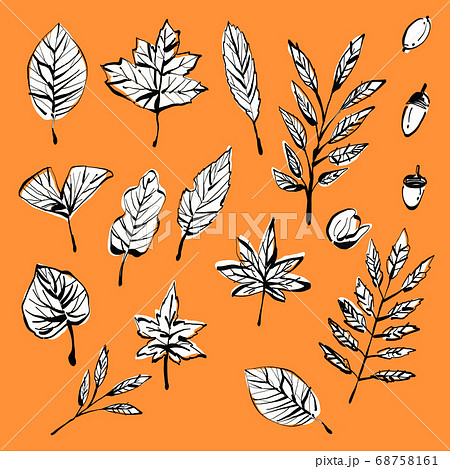 秋の枯葉イラスト ベクター素材またはパターン素材のイラスト素材