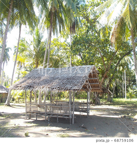 フィリピンのミンダナオ島にある自然とコテージの風景 68759106
