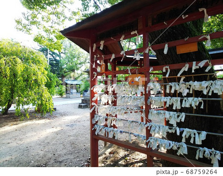 神社のおみくじ掛けに結ばれたおみくじと絵馬 神社のおみくじ掛けに結ばれたおみくじと絵馬 68759264